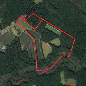 Photo #1 of SOLD property in 1520 Fiddlers Rd, Emporia, VA 85.1 acres