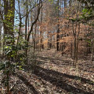 Photo #23 of SOLD property in 1520 Fiddlers Rd, Emporia, VA 85.1 acres