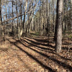 Photo #25 of SOLD property in 1520 Fiddlers Rd, Emporia, VA 85.1 acres