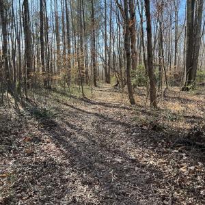 Photo #27 of SOLD property in 1520 Fiddlers Rd, Emporia, VA 85.1 acres