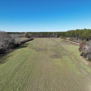 Photo #33 of SOLD property in 1520 Fiddlers Rd, Emporia, VA 85.1 acres