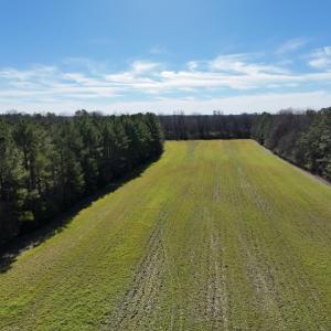 Photo #35 of SOLD property in 1520 Fiddlers Rd, Emporia, VA 85.1 acres