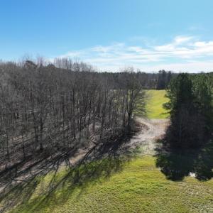 Photo #37 of SOLD property in 1520 Fiddlers Rd, Emporia, VA 85.1 acres