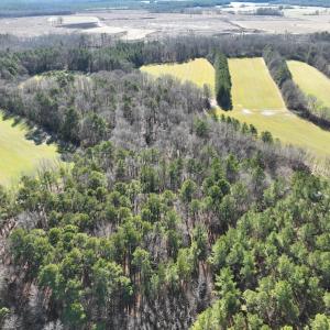 Photo #39 of SOLD property in 1520 Fiddlers Rd, Emporia, VA 85.1 acres