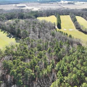 Photo #39 of SOLD property in 1520 Fiddlers Rd, Emporia, VA 85.1 acres
