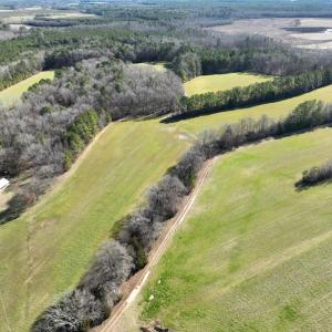 Photo #41 of SOLD property in 1520 Fiddlers Rd, Emporia, VA 85.1 acres