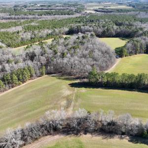 Photo #42 of SOLD property in 1520 Fiddlers Rd, Emporia, VA 85.1 acres