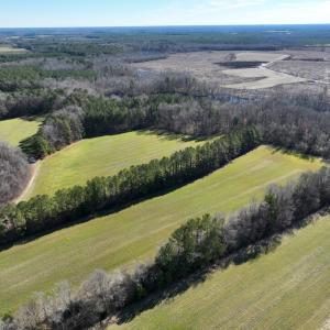 Photo #43 of SOLD property in 1520 Fiddlers Rd, Emporia, VA 85.1 acres