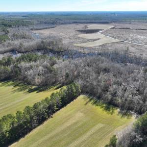 Photo #45 of SOLD property in 1520 Fiddlers Rd, Emporia, VA 85.1 acres