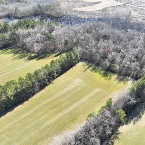 Photo #46 of SOLD property in 1520 Fiddlers Rd, Emporia, VA 85.1 acres
