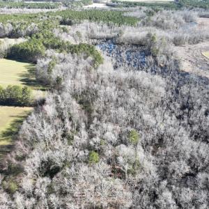 Photo #47 of SOLD property in 1520 Fiddlers Rd, Emporia, VA 85.1 acres