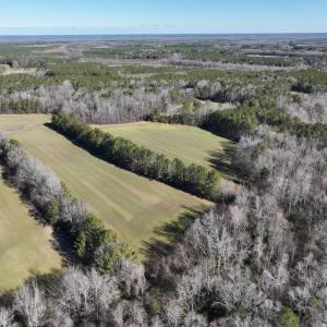 Photo #48 of SOLD property in 1520 Fiddlers Rd, Emporia, VA 85.1 acres