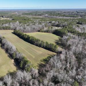Photo #48 of SOLD property in 1520 Fiddlers Rd, Emporia, VA 85.1 acres