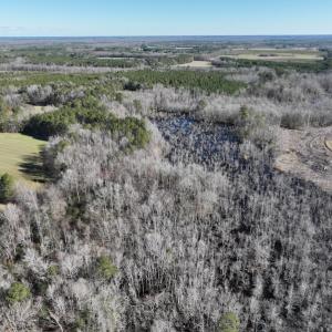 Photo #49 of SOLD property in 1520 Fiddlers Rd, Emporia, VA 85.1 acres