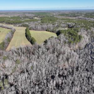 Photo #50 of SOLD property in 1520 Fiddlers Rd, Emporia, VA 85.1 acres