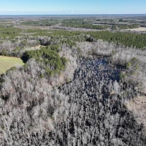 Photo #51 of SOLD property in 1520 Fiddlers Rd, Emporia, VA 85.1 acres