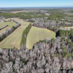 Photo #52 of SOLD property in 1520 Fiddlers Rd, Emporia, VA 85.1 acres