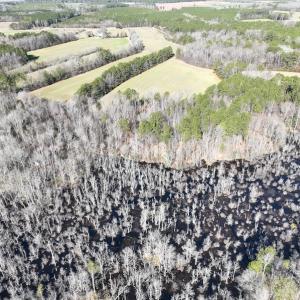 Photo #55 of SOLD property in 1520 Fiddlers Rd, Emporia, VA 85.1 acres