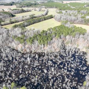 Photo #56 of SOLD property in 1520 Fiddlers Rd, Emporia, VA 85.1 acres