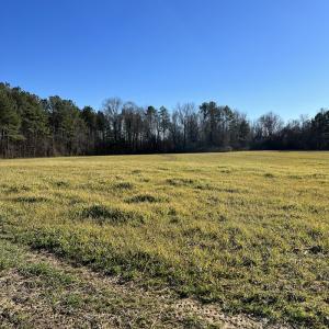 Photo #4 of SOLD property in 1520 Fiddlers Rd, Emporia, VA 85.1 acres