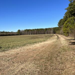 Photo #6 of SOLD property in 1520 Fiddlers Rd, Emporia, VA 85.1 acres