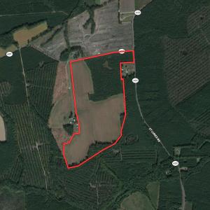 Photo #1 of SOLD property in Off Horse Pen Rd, Courtland, VA 81.8 acres