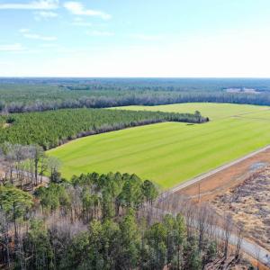 Photo #2 of SOLD property in Off Horse Pen Rd, Courtland, VA 81.8 acres