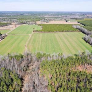 Photo #4 of SOLD property in Off Horse Pen Rd, Courtland, VA 81.8 acres