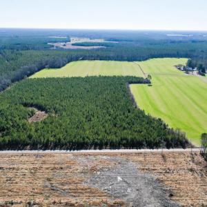 Photo #6 of SOLD property in Off Horse Pen Rd, Courtland, VA 81.8 acres