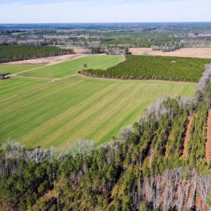 Photo #7 of SOLD property in Off Horse Pen Rd, Courtland, VA 81.8 acres