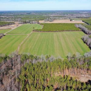 Photo #8 of SOLD property in Off Horse Pen Rd, Courtland, VA 81.8 acres