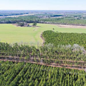 Photo #9 of SOLD property in Off Horse Pen Rd, Courtland, VA 81.8 acres