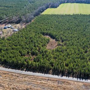 Photo #10 of SOLD property in Off Horse Pen Rd, Courtland, VA 81.8 acres