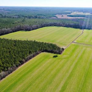 Photo #11 of SOLD property in Off Horse Pen Rd, Courtland, VA 81.8 acres