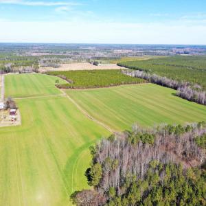 Photo #12 of SOLD property in Off Horse Pen Rd, Courtland, VA 81.8 acres