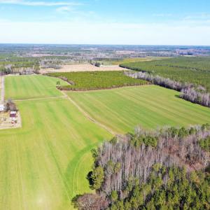 Photo #12 of SOLD property in Off Horse Pen Rd, Courtland, VA 81.8 acres