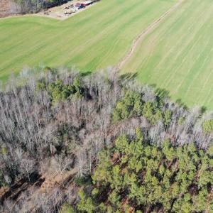Photo #13 of SOLD property in Off Horse Pen Rd, Courtland, VA 81.8 acres