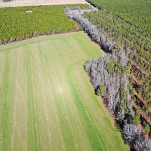 Photo #14 of SOLD property in Off Horse Pen Rd, Courtland, VA 81.8 acres