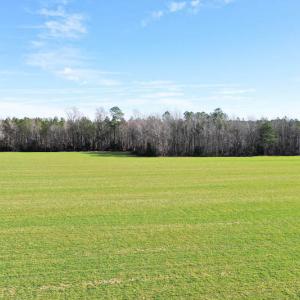 Photo #18 of SOLD property in Off Horse Pen Rd, Courtland, VA 81.8 acres