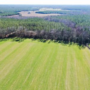 Photo #20 of SOLD property in Off Horse Pen Rd, Courtland, VA 81.8 acres