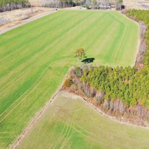 Photo #22 of SOLD property in Off Horse Pen Rd, Courtland, VA 81.8 acres