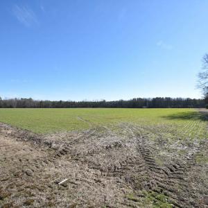 Photo #24 of SOLD property in Off Horse Pen Rd, Courtland, VA 81.8 acres
