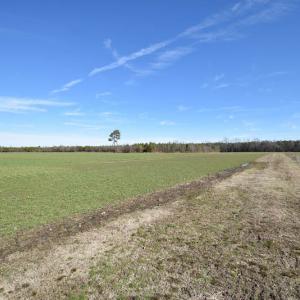 Photo #25 of SOLD property in Off Horse Pen Rd, Courtland, VA 81.8 acres