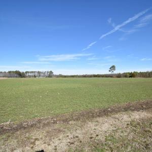 Photo #26 of SOLD property in Off Horse Pen Rd, Courtland, VA 81.8 acres