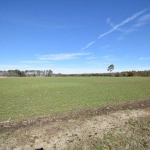 Photo #26 of SOLD property in Off Horse Pen Rd, Courtland, VA 81.8 acres