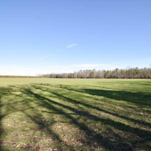 Photo #36 of SOLD property in Off Horse Pen Rd, Courtland, VA 81.8 acres