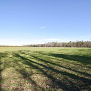 Photo #36 of SOLD property in Off Horse Pen Rd, Courtland, VA 81.8 acres