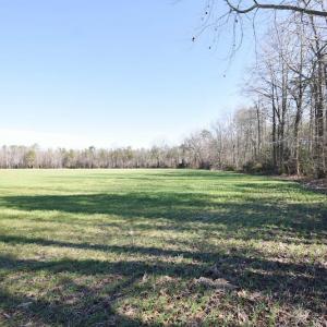 Photo #37 of SOLD property in Off Horse Pen Rd, Courtland, VA 81.8 acres