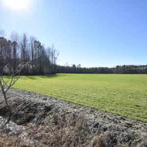 Photo #38 of SOLD property in Off Horse Pen Rd, Courtland, VA 81.8 acres