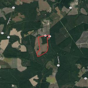 Photo #42 of SOLD property in Off Horse Pen Rd, Courtland, VA 81.8 acres